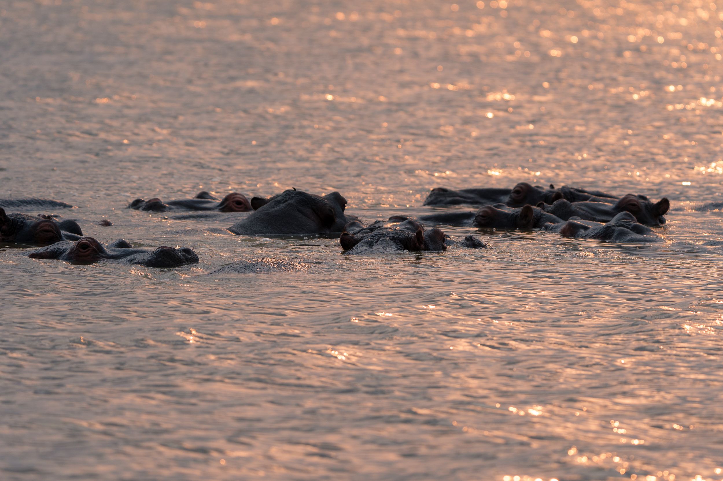 20230924 163024 Fotobuch Südafrika 03958